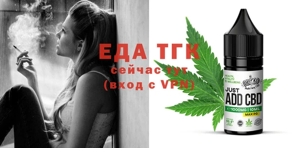 мдпв Рославль
