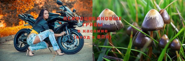 стафф Белоозёрский
