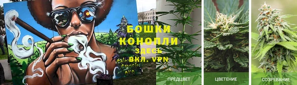 наркотики Белокуриха