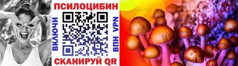 Псилоцибиновые грибы мицелий Мезень